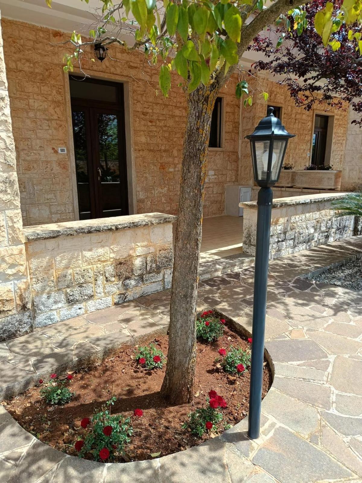 Villa Lisi Selva Di Fasano Exterior foto