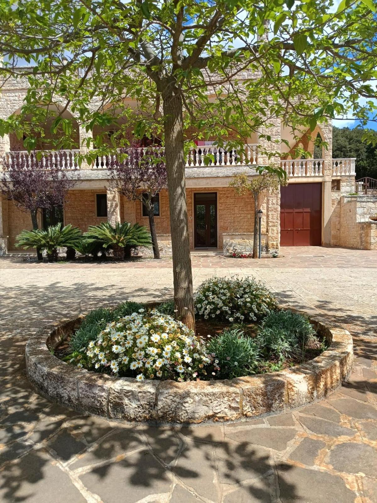 Villa Lisi Selva Di Fasano Exterior foto